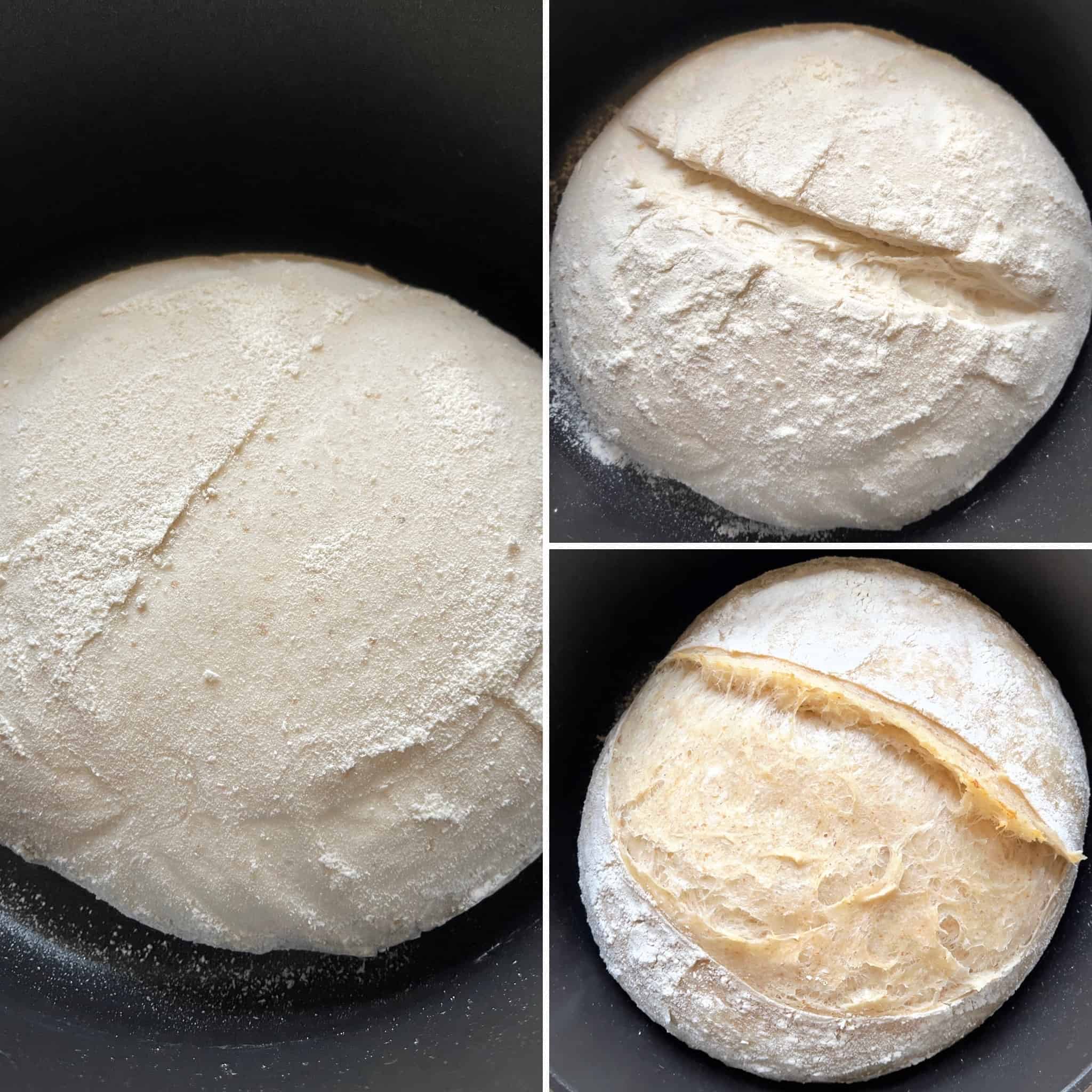 Beginners sourdough bread recipe (Bread with prozimi) proofing