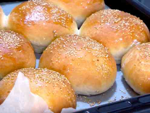 Best homemade Hamburger Buns recipe