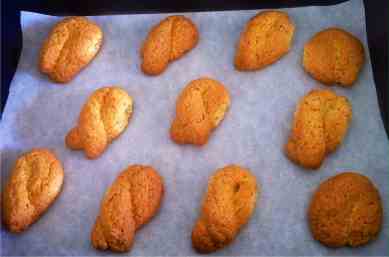 Easy Homemade Greek Cookies-2